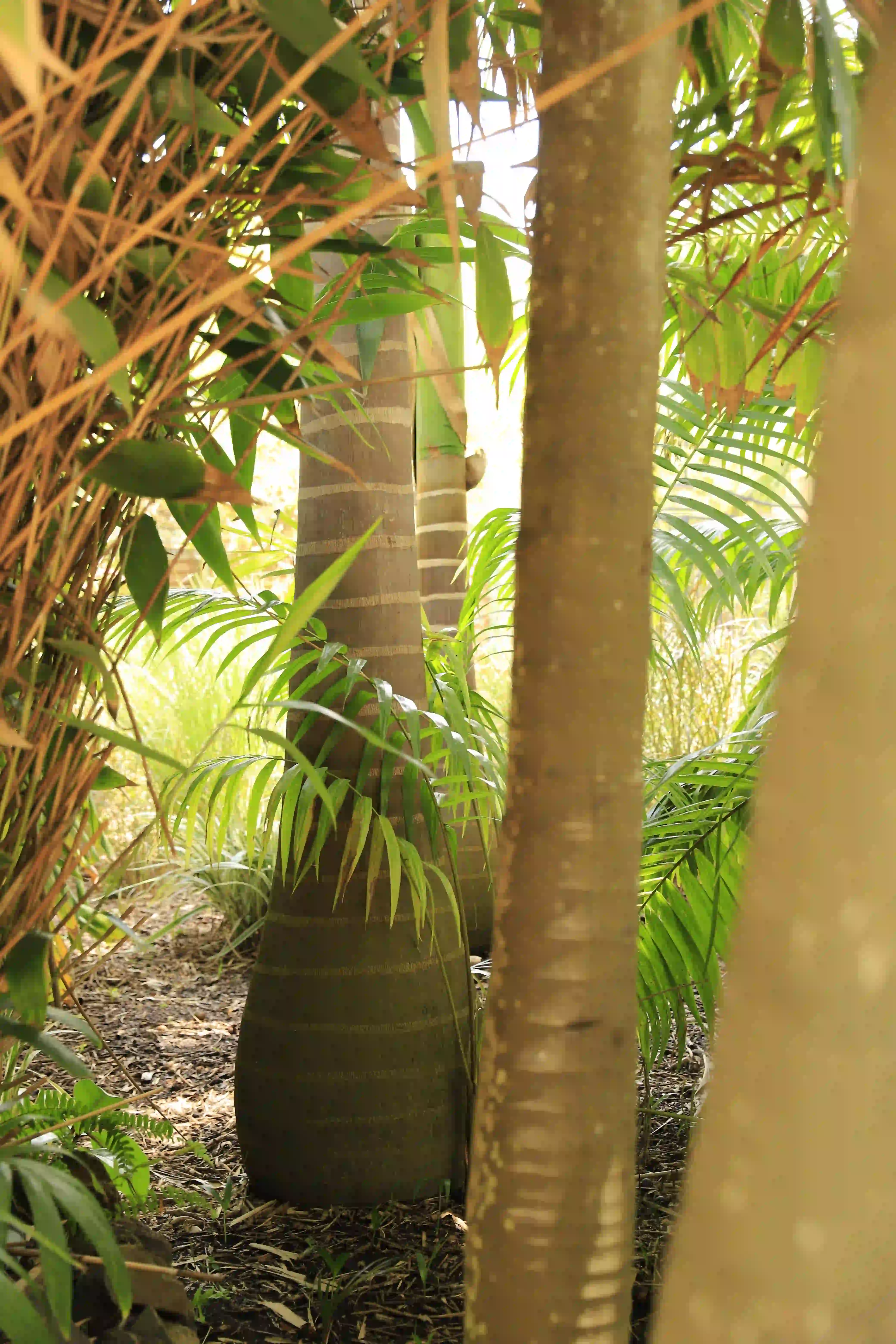 image of signature dish (for a fine dining restaurant)