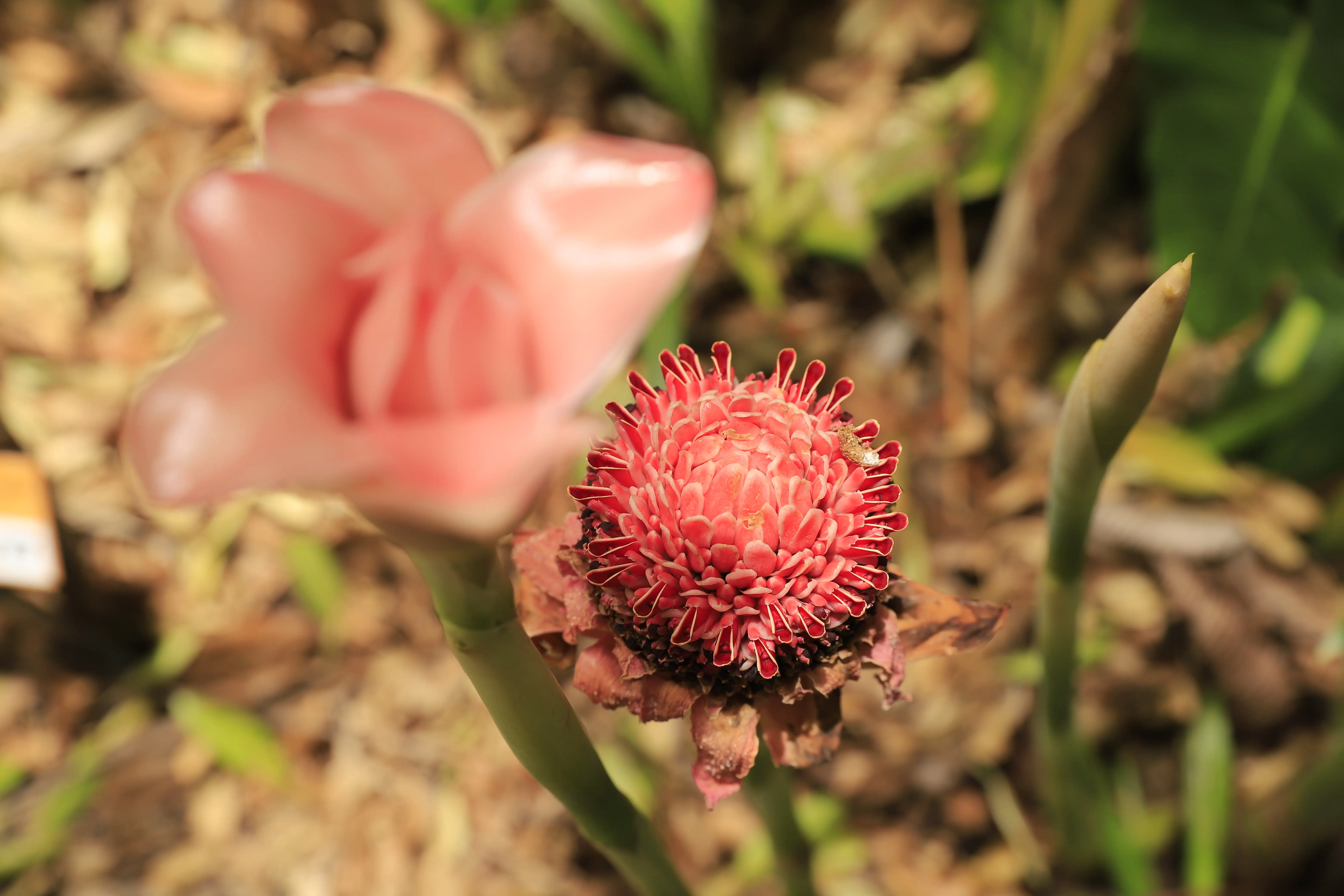 image of outdoor dining experience (for a food truck)