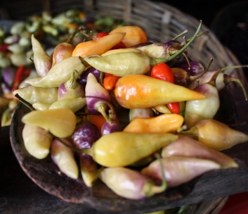 image of the kitchen in action (for an italian restaurant)